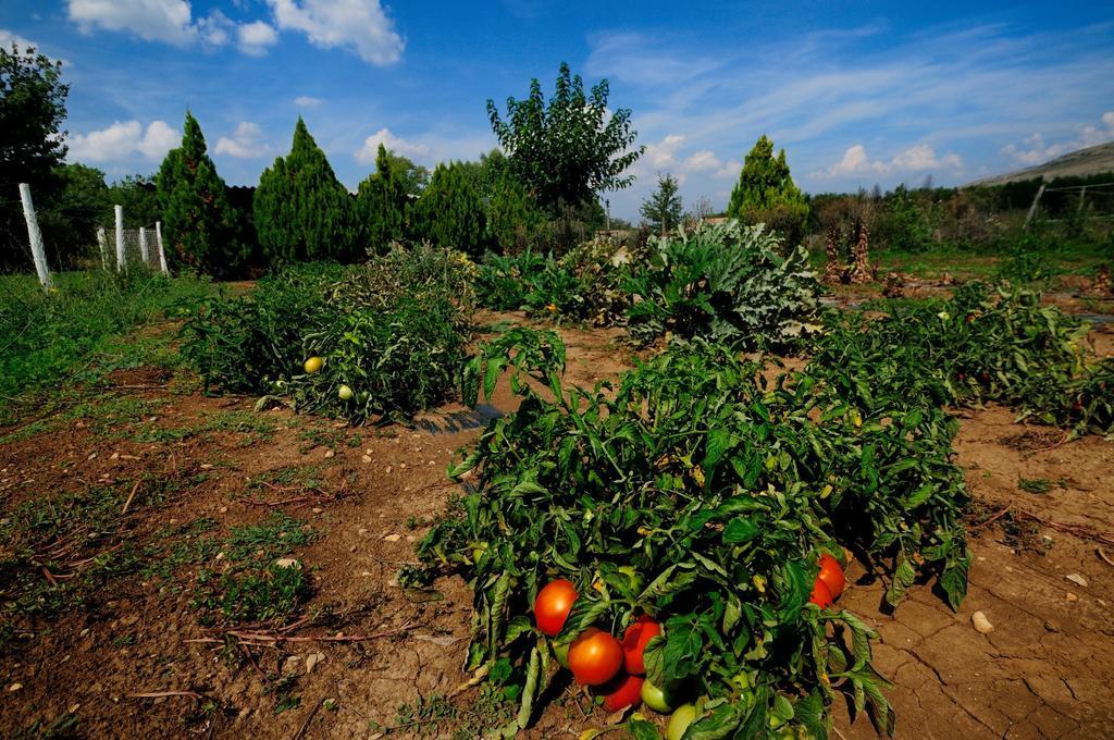 Domaine De Majastre Bauduen